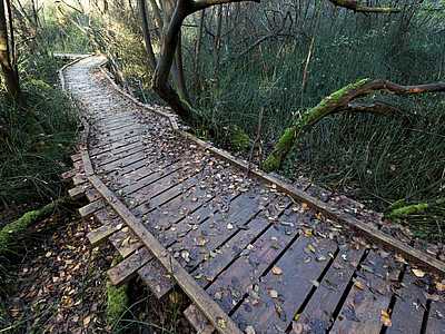 Sentier de la vie sauvage de Neuried