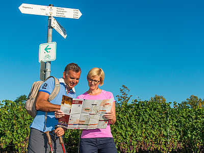 Wandern Ringsheim © Gemeinde Ringsheim