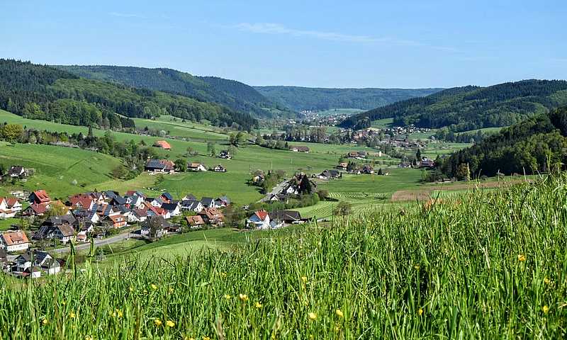 Schuttertal: vue en direction de Seelbach © Daniel Schwörer