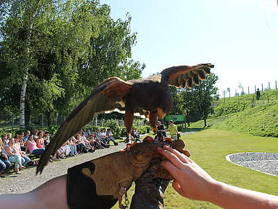 Nature à Rust: parc des rapaces