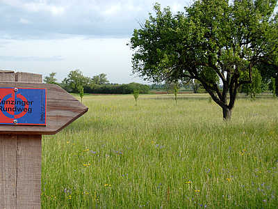 Kenzingen Natur Kenzinger Rundweg © Heinrich Bueb