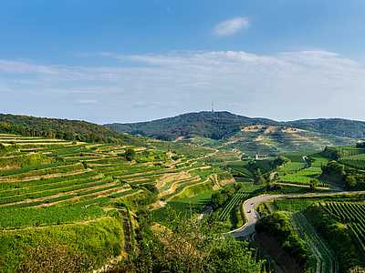 Kaiserstuhl © Simon Dux Media