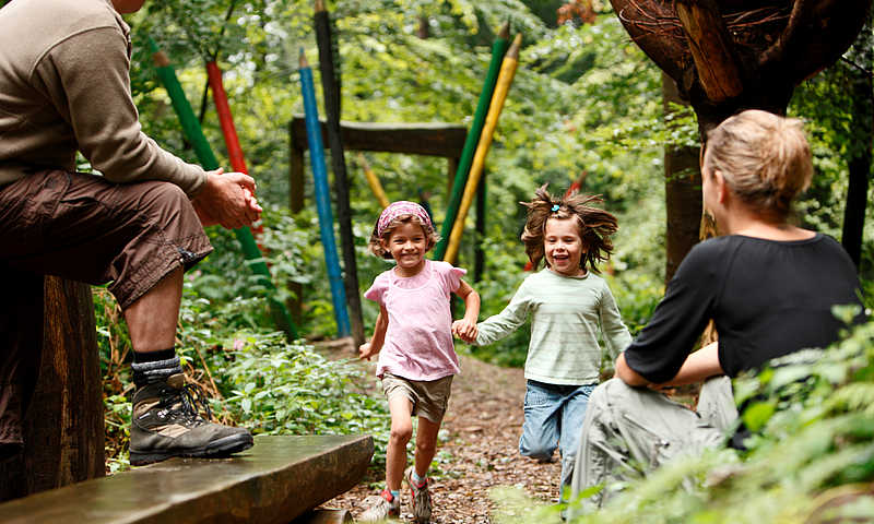 Sentier forestier et sportif de Freiamt © Tourist-Information Freiamt