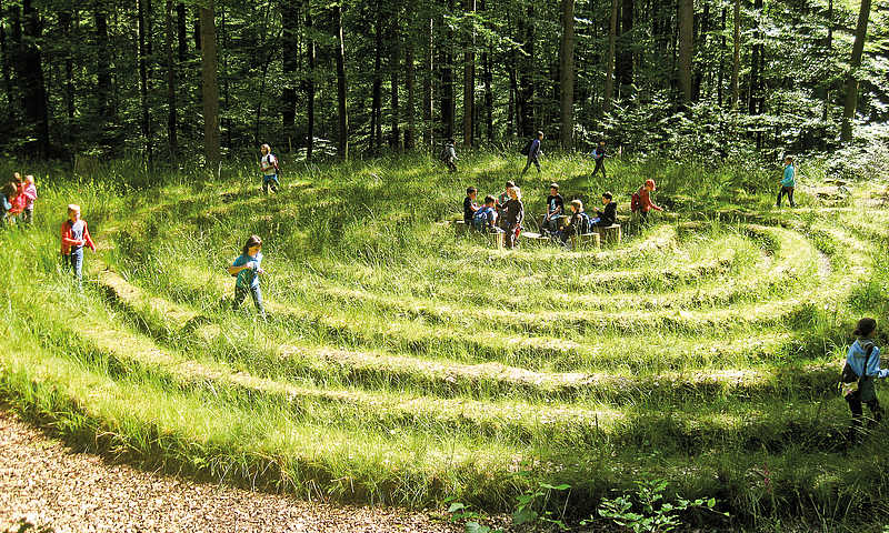 Sentier forestier de Freiamt © Bernd Nold