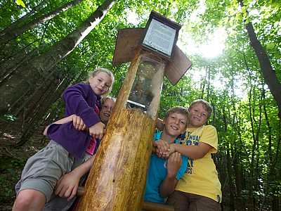 Waldspielweg © Gemeinde Schuttertal