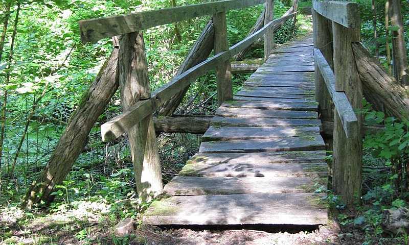 Meißenheim Holzbrücke Rheinwald