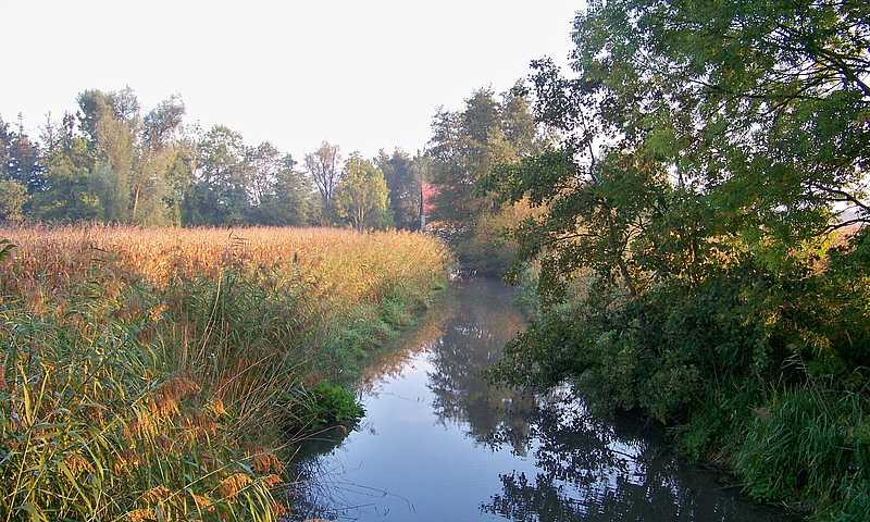 Neuried Mühlenradweg