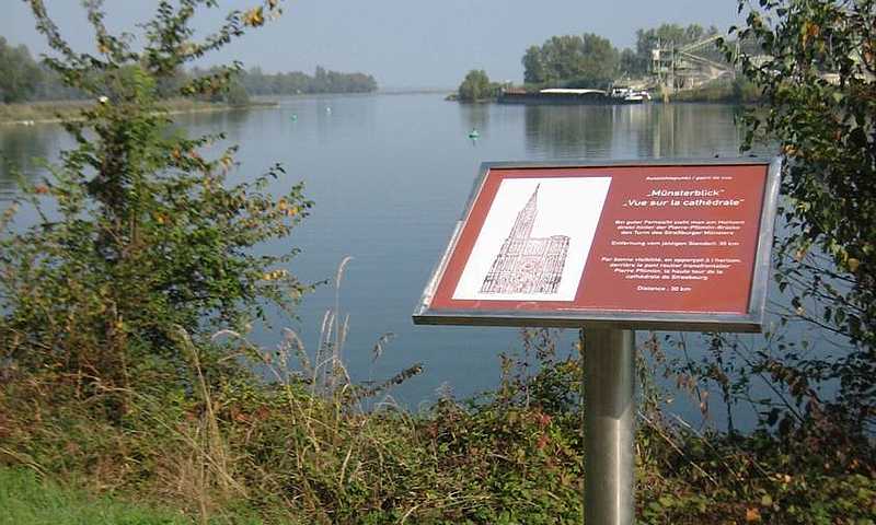 Meißenheim Münsterblick am Rheinhafen